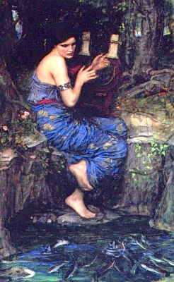 The Charmer